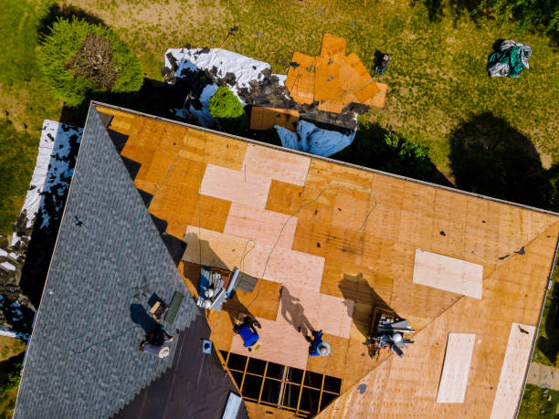 Best Residential Roofing Contractor  in Tekamah, NE